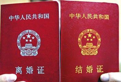 证件样本8